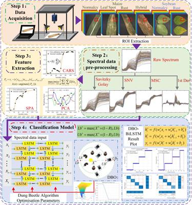 Discrimination of leaf diseases in Maize/Soybean intercropping system based on hyperspectral imaging